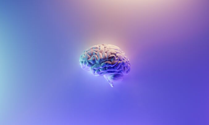 milad fakurian - Darstellung eines 3D erstellen Gehirns.